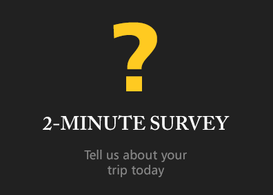 2-Minute Survey